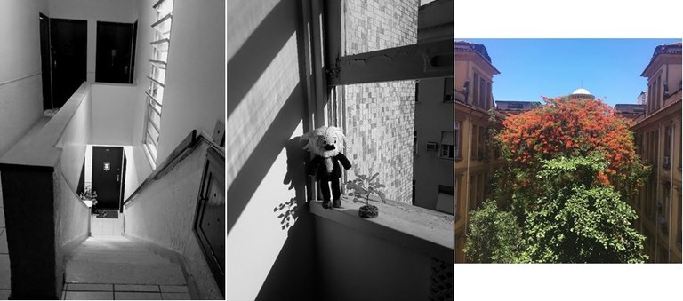 Fotografias vencedoras do concurso, com a primeira colocada à esquerda