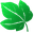 Símbolo verde claro