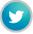 Ícone Twitter