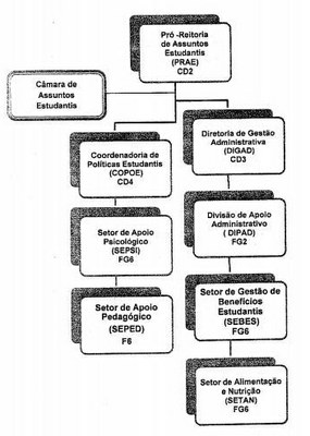 Organograma PRAE