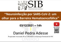 SIB dessa semana debate sobre a neuroinfecção por SARS-CoV-2