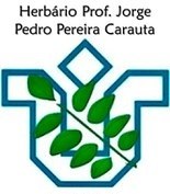 Herbário da UNIRIO disponibiliza acervo para consultas on-line