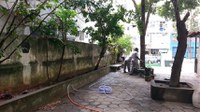 Continua a jardinagem no IB
