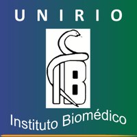 Direção do IB realiza Assembleia Virtual com seus servidores
