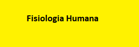 Fisiologia Humana