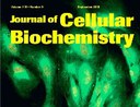 Grupo de Bioinformática da UNIRIO publica artigo em revista internacional Grupo de Bioinformática da UNIRIO publica artigo em revista internacional