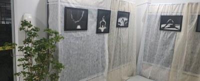 Exposição Dysangelium 12