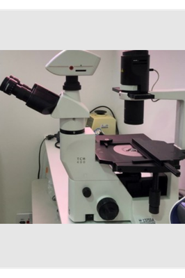 Microscópio invertido TCM400 - Labmed.png