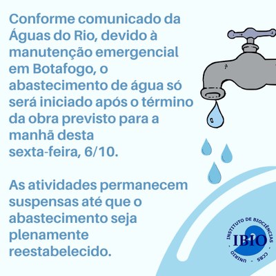 suspensão 6_10