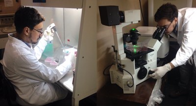 O pesquisador Carlos Fernando Araujo-Lima em diferentes etapas do estudo (Fotos: Arquivo pessoal)