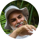 Prof_Elias Ribeiro de Arruda Junior Prof_Elias Ribeiro de Arruda Junior