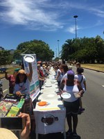 IMG-20190127-WA0047 IMG-20190127-WA0047