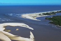 Biodiversidade Bahia