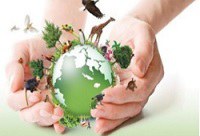 Workshop debate patrimônio genético e conhecimento tradicional Workshop debate patrimônio genético e conhecimento tradicional