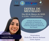 DEFESA DE DISSERTAÇÃO - VANESSA PERES