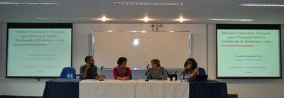 Mesa na tarde desta quinta-feira (19) reuniu especialistas da UNIRIO, Uerj e UFF (Foto: Comso)