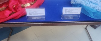 Máscara de Si9