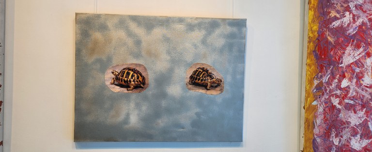 desencantamento10 desencantamento10