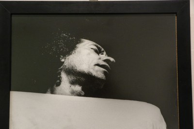 Exposição Dysangelium 5 Exposição Dysangelium 5