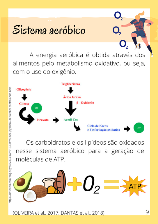 Cartilha2_8 Cartilha2_8