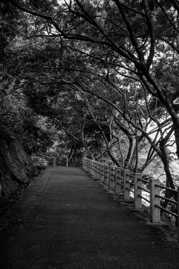 Foto: Tatiana Fernandéz do Carmo Foto: Tatiana Fernandéz do Carmo