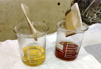 Frutos e cascas de café secos em recipiente de infusão, remetendo a bioativos do chá de cáscara de café.