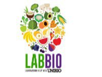 'Pirâmide alimentar: conheça e aplique '  é tema de minicurso promovido pelo Laboratório de Bioativos