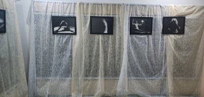 Exposição Dysangelium 12 Exposição Dysangelium 12