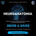 Curso de extensão em Neuroanatomia