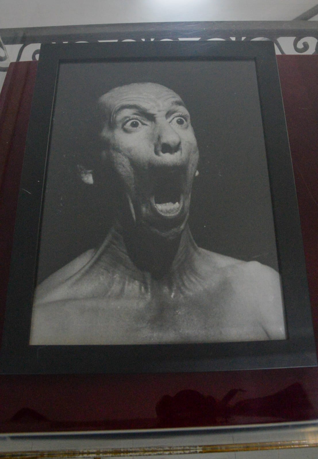 Exposição Dysangelium 7