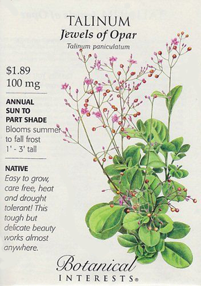 Cartaz sementes - Talinum paniculatum