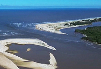 Biodiversidade Bahia