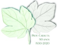 LOGO 90 anos LOGO 90 anos