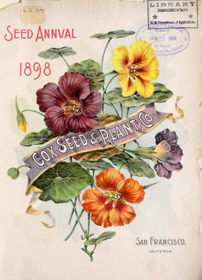 Tropaeolum majus - Seed Annual 1898 Tropaeolum majus - Seed Annual 1898
