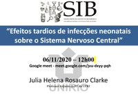 Seminários do IB debate os efeitos das infecções neonatais sobre o Sistema Nervoso 