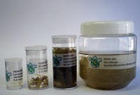 Arquivo verde - conheça o Herbário da UNIRIO