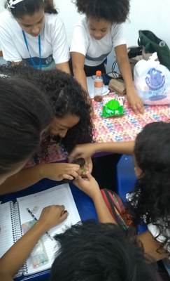 palestra - sementes 3