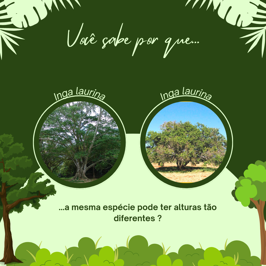 Curso de Ecologia Funcional 
