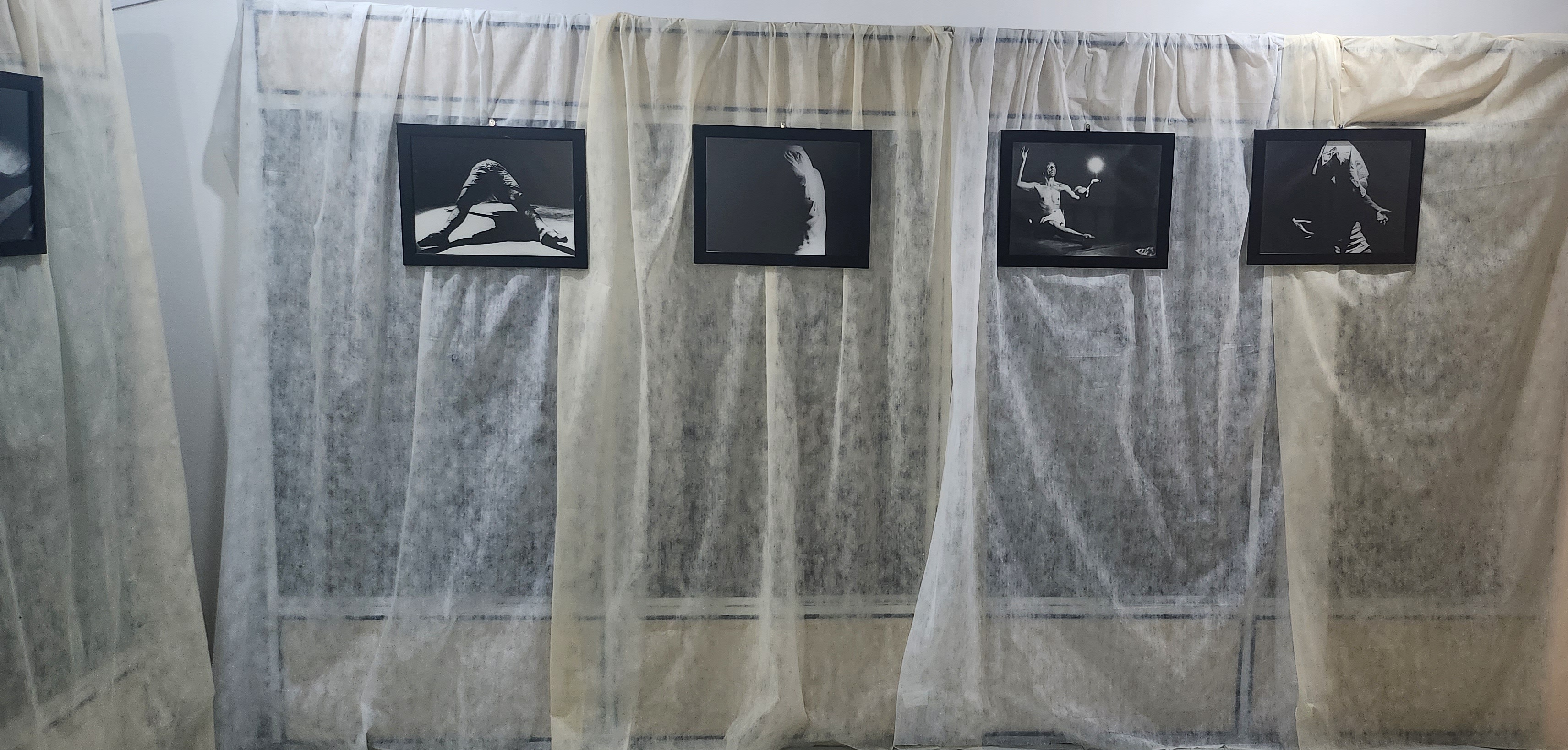 Exposição Dysangelium 12