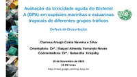 Defesa de dissertação - Clarissa Araujo Costa Naveira e Silva
