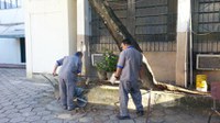 Iniciada a recuperação do jardim e canteiros do IB