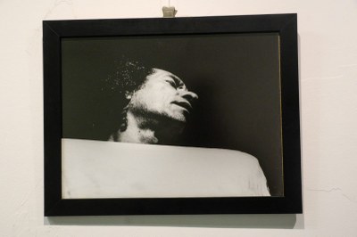 Exposição Dysangelium 6