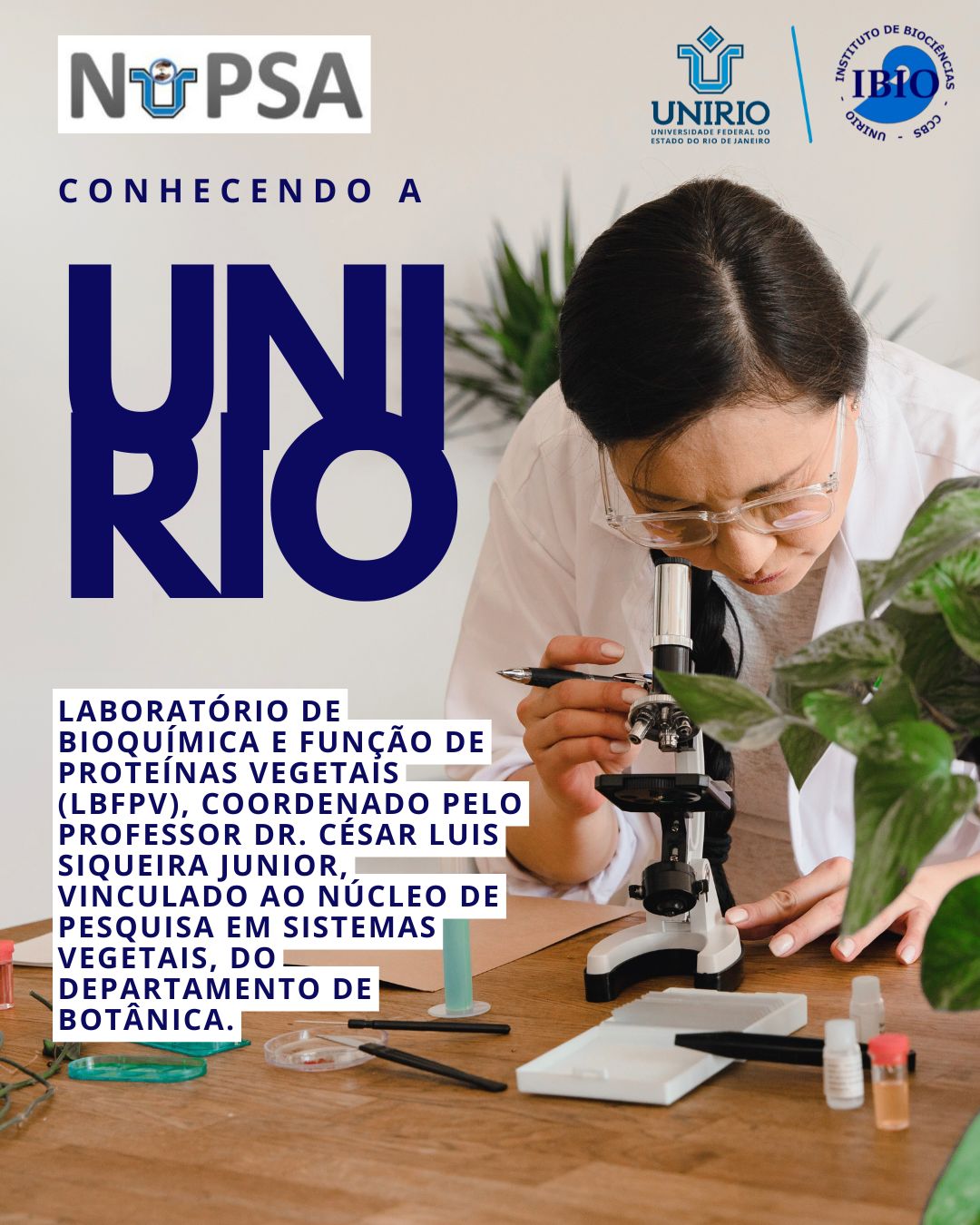 Boletim Pesquisa e Inovação apresenta o Laboratório de Bioquímica e Função de Proteínas Vegetais do Instituto de Biociências