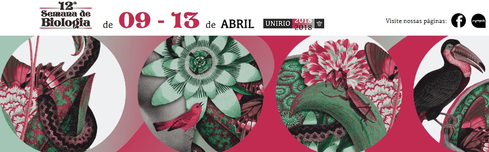 Imagem: Divulgação