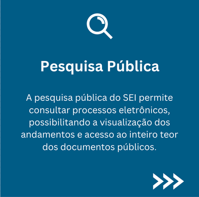 Pesquisa Pública