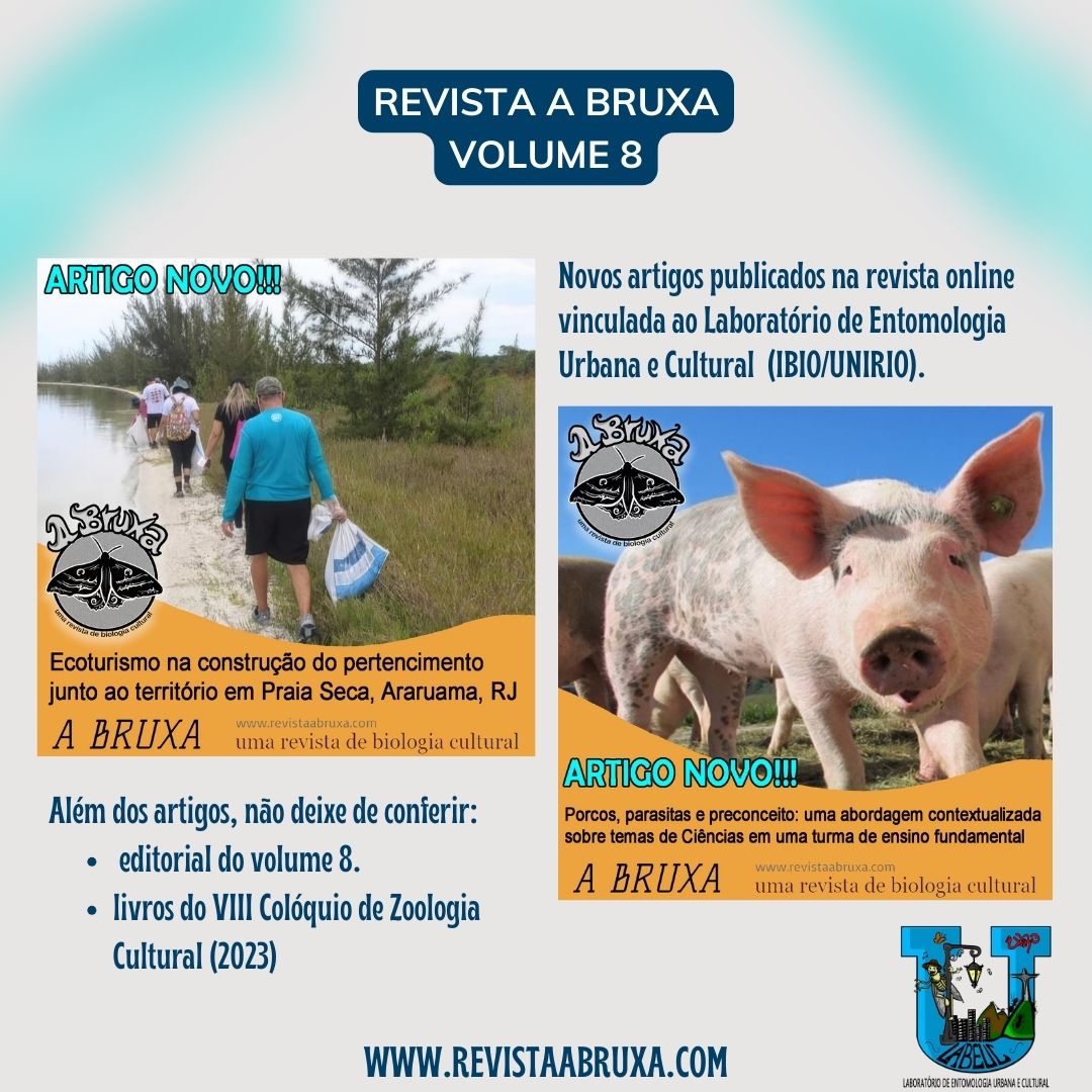 A bruxa v8