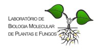 Logo LBMPF