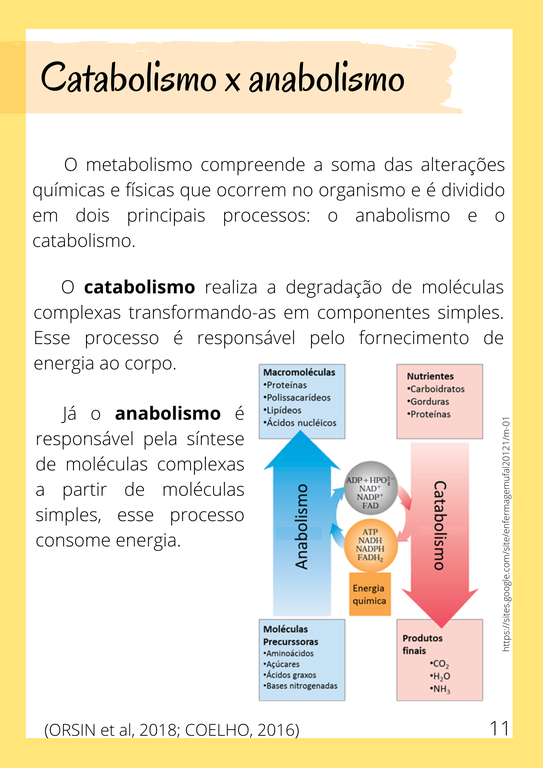 Cartilha2_10