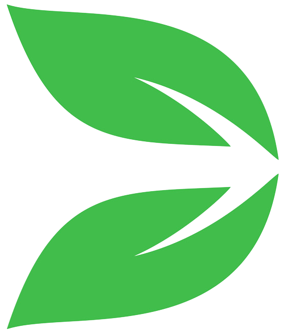 Folha verde seta