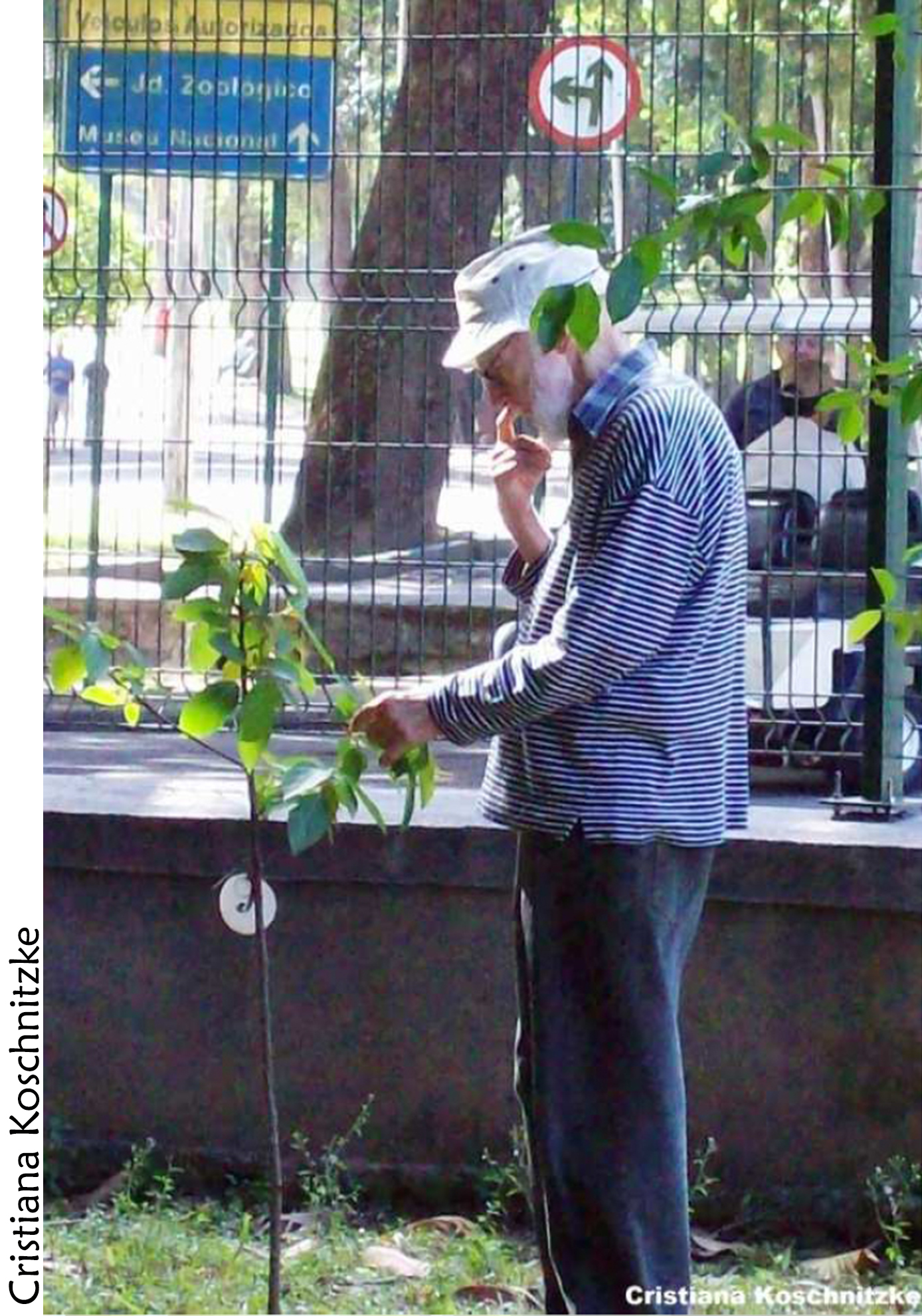 Prof. Carauta no Jardim do MN - 90 anos